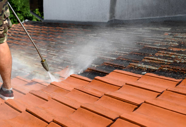 Best Power Washing Near Me  in Crandall, TX